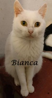 Bianca7