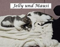 Jelly und Mausi