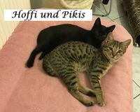 Hoffi und Pikis