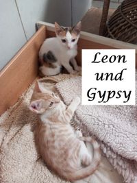 Leon &amp; Gypsy