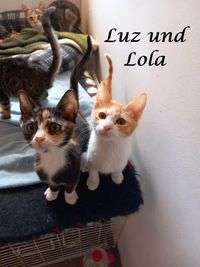 Luz und Lola