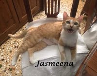 Jasmeena1