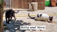 Betti und Nera