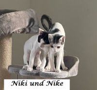 Niki und Nike