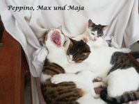 Peppino Max und Maja