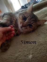 Simon1